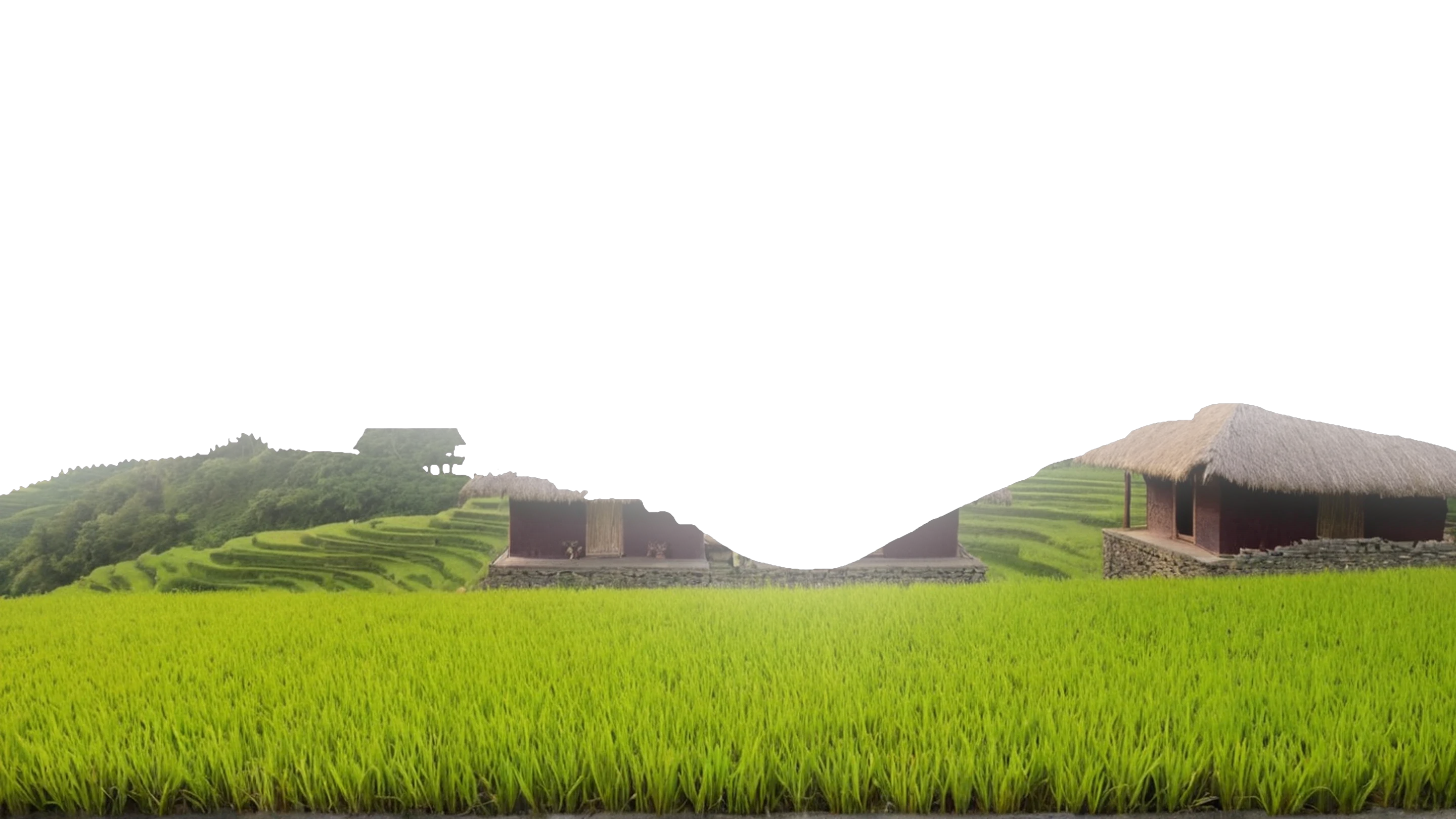 Closer forested ridges and green terraces rising toward the viewer in the Northern highlands
